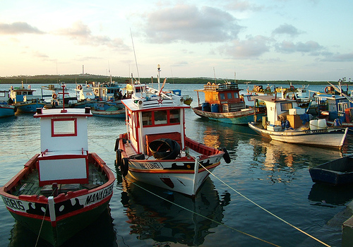 canto-mangue