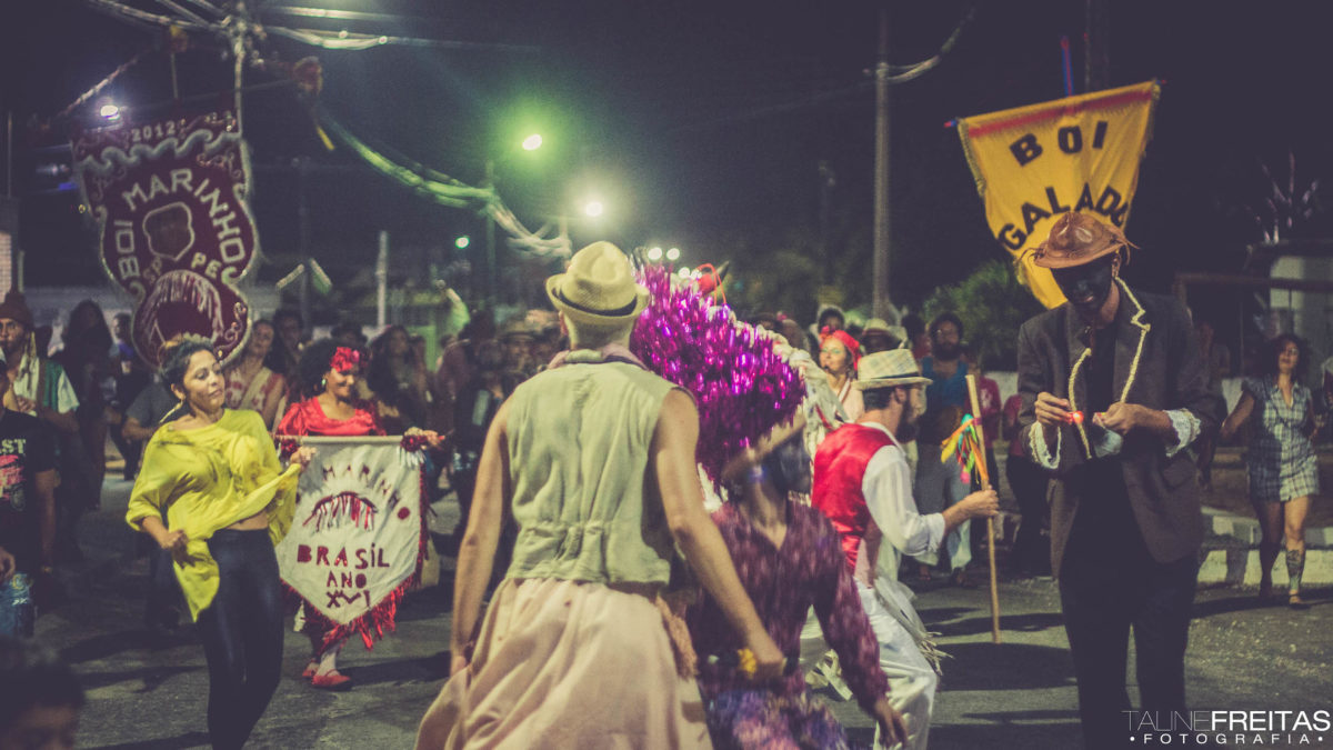 Boi Galado cortejará as ruas de Nova Descoberta (Foto: Taline Freitas) 